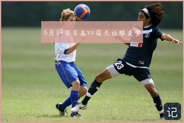 6月14日日本vs荷兰让球走势